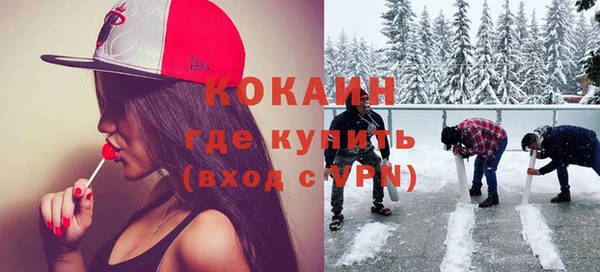 индика Алексеевка