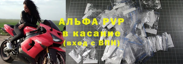 гашик Арсеньев